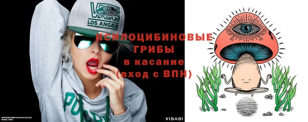 трава Осинники
