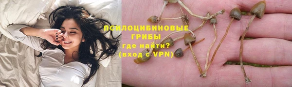 наркотики Белокуриха